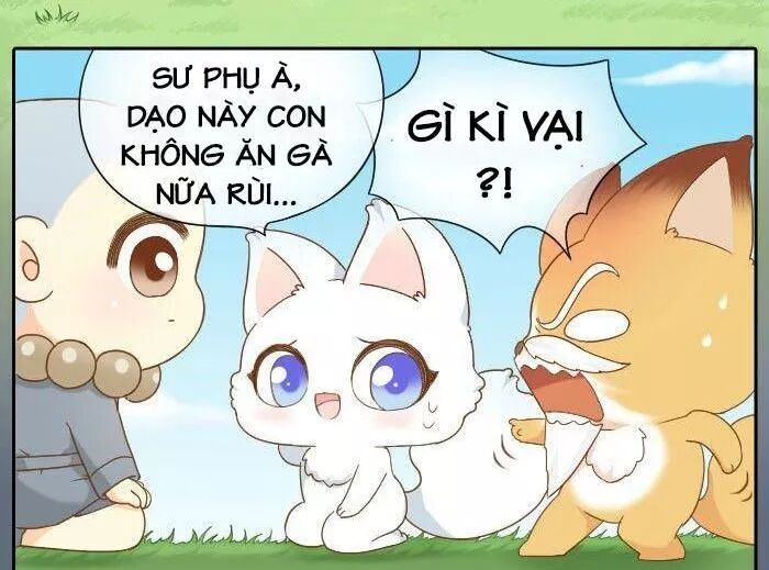 Tiểu Hồ Ly vs Tiểu Hóa Thượng: Chapter 62