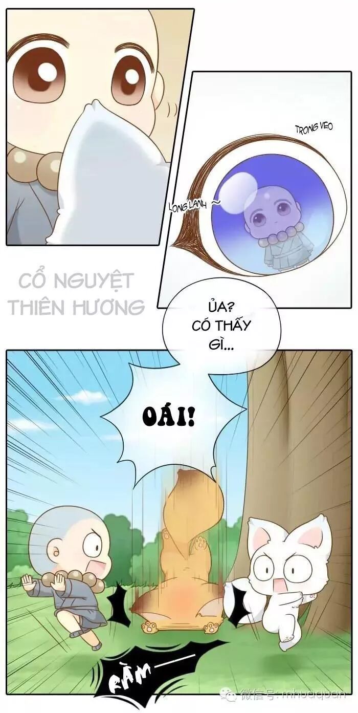 Tiểu Hồ Ly vs Tiểu Hóa Thượng: Chapter 62