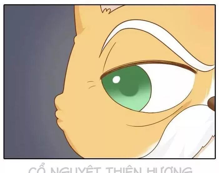 Tiểu Hồ Ly vs Tiểu Hóa Thượng: Chapter 62