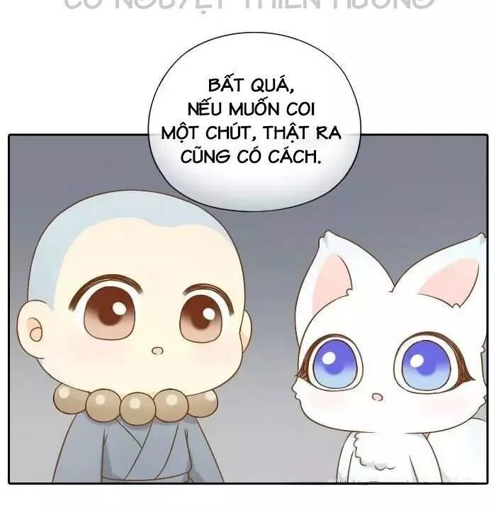 Tiểu Hồ Ly vs Tiểu Hóa Thượng: Chapter 62