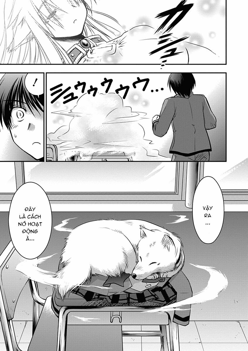 Perowan! - Hayaku shinasai! Goshujin-sama: Chapter 1