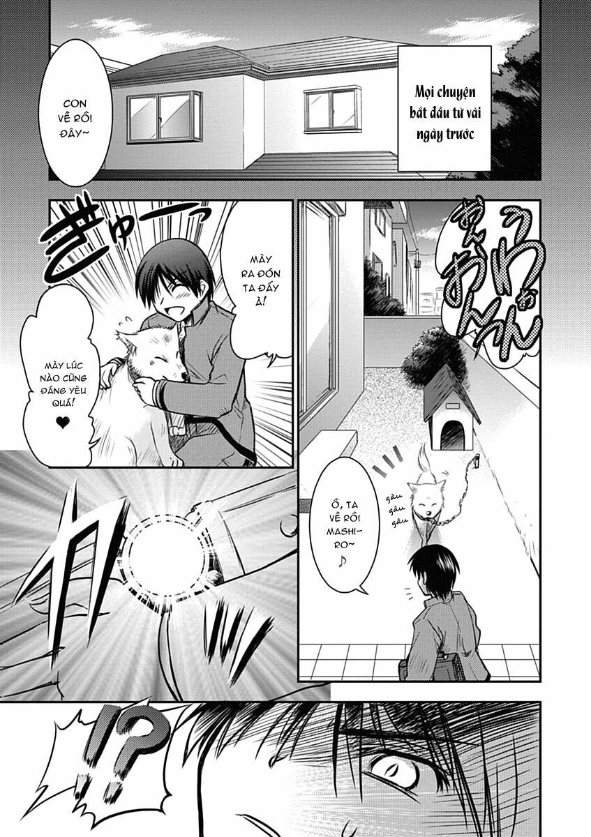 Perowan! - Hayaku shinasai! Goshujin-sama: Chapter 1
