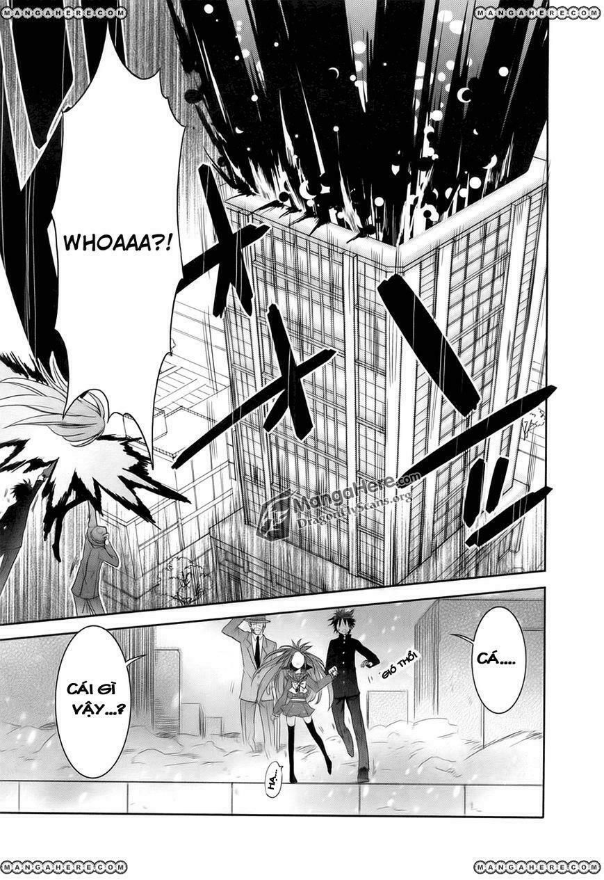 Đôi mắt của Shana: Chapter 38