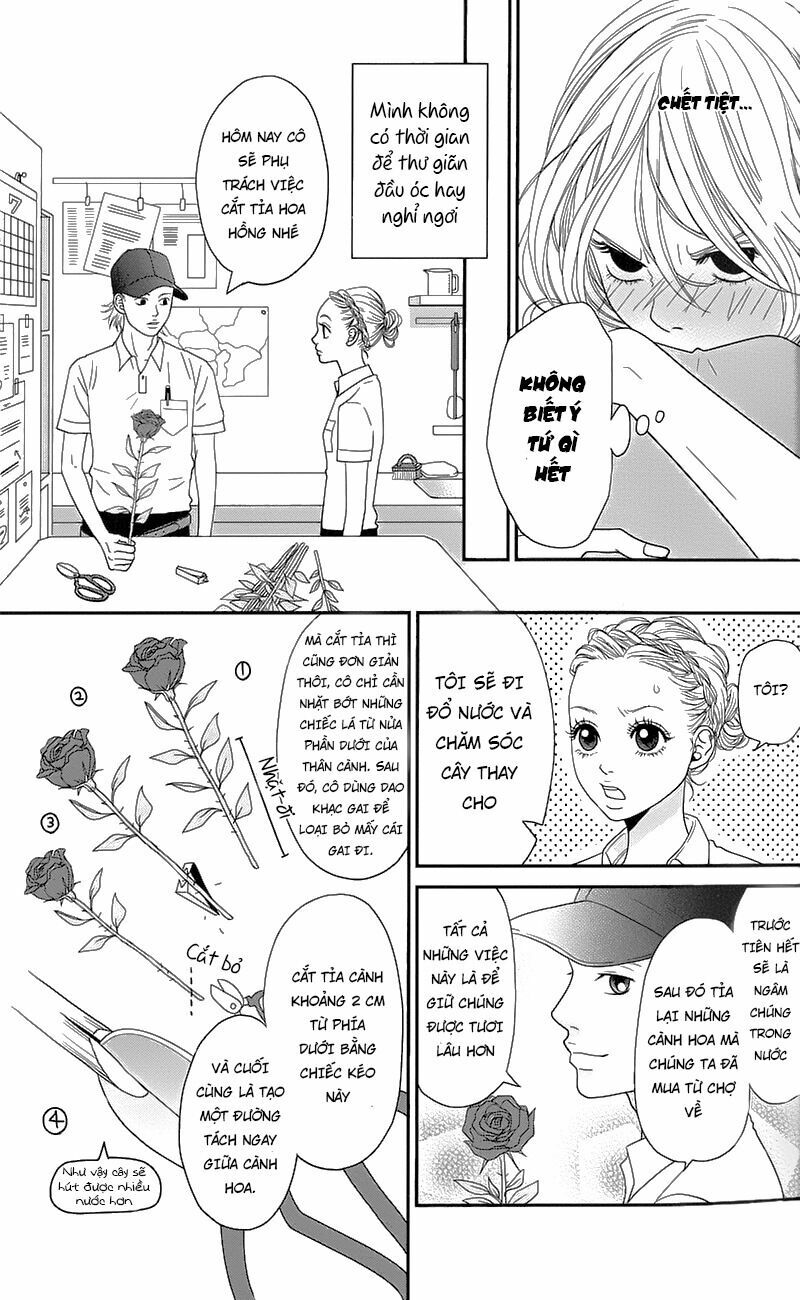 Đóa Hoa Năm Ấy: Chapter 1