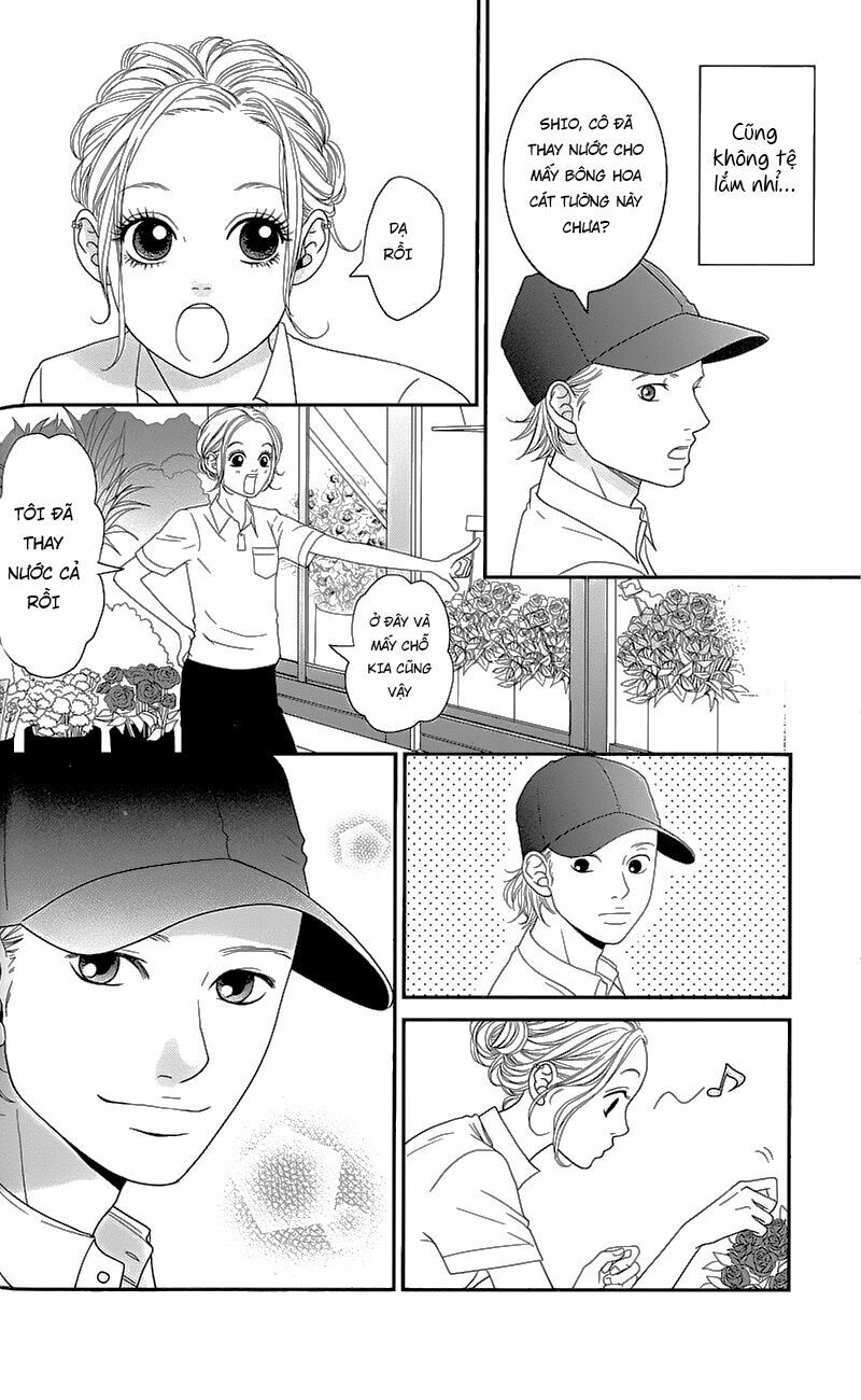 Đóa Hoa Năm Ấy: Chapter 1