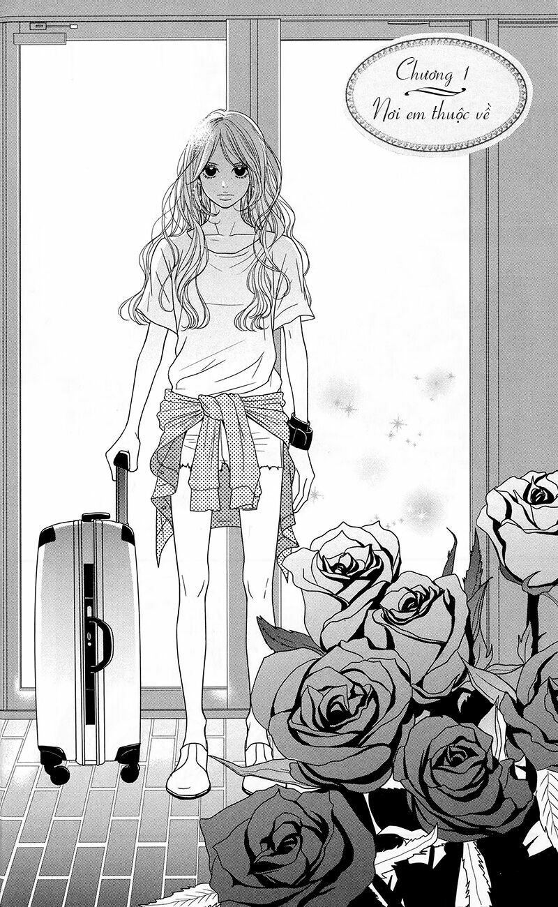 Đóa Hoa Năm Ấy: Chapter 1