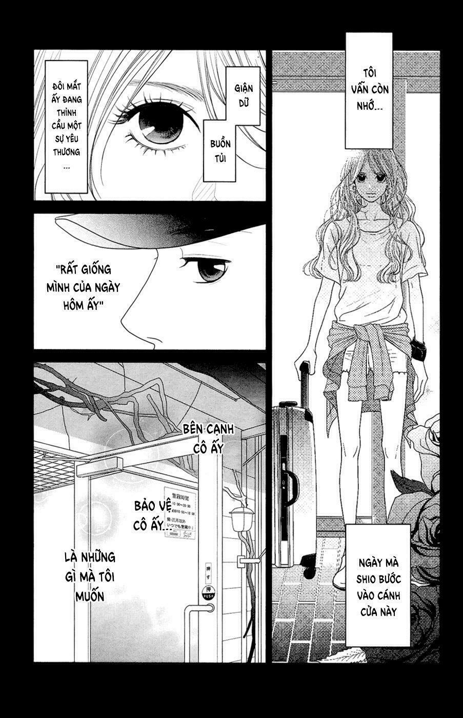 Đóa Hoa Năm Ấy: Chapter 4: (END)