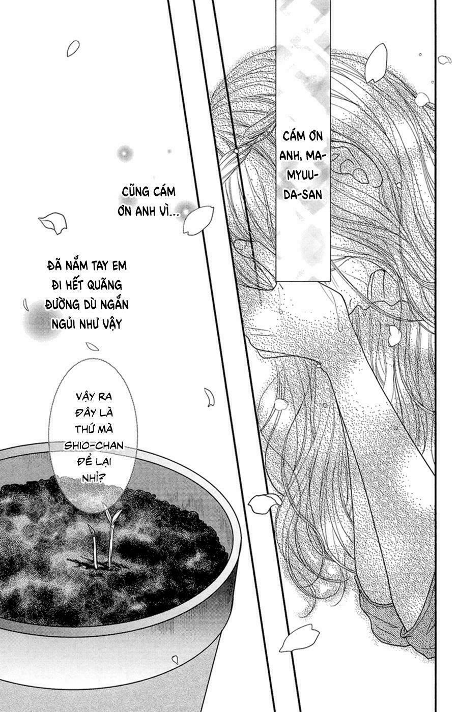 Đóa Hoa Năm Ấy: Chapter 4: (END)