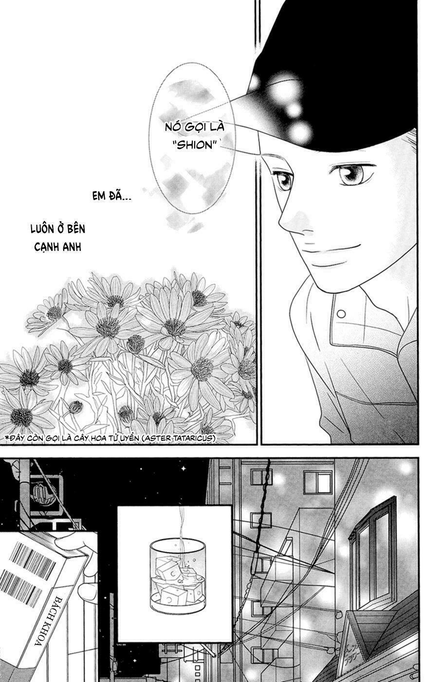Đóa Hoa Năm Ấy: Chapter 4: (END)