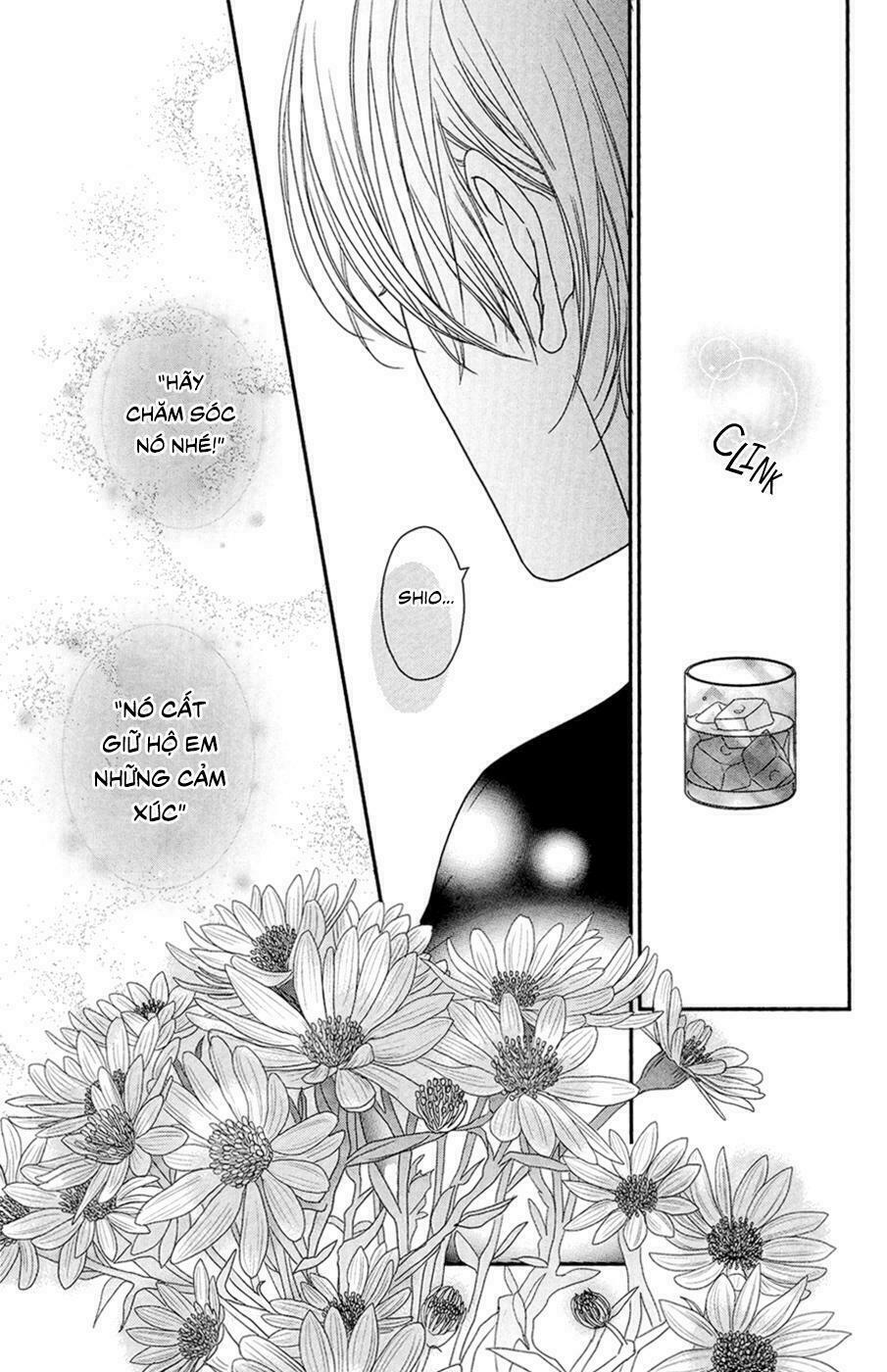 Đóa Hoa Năm Ấy: Chapter 4: (END)