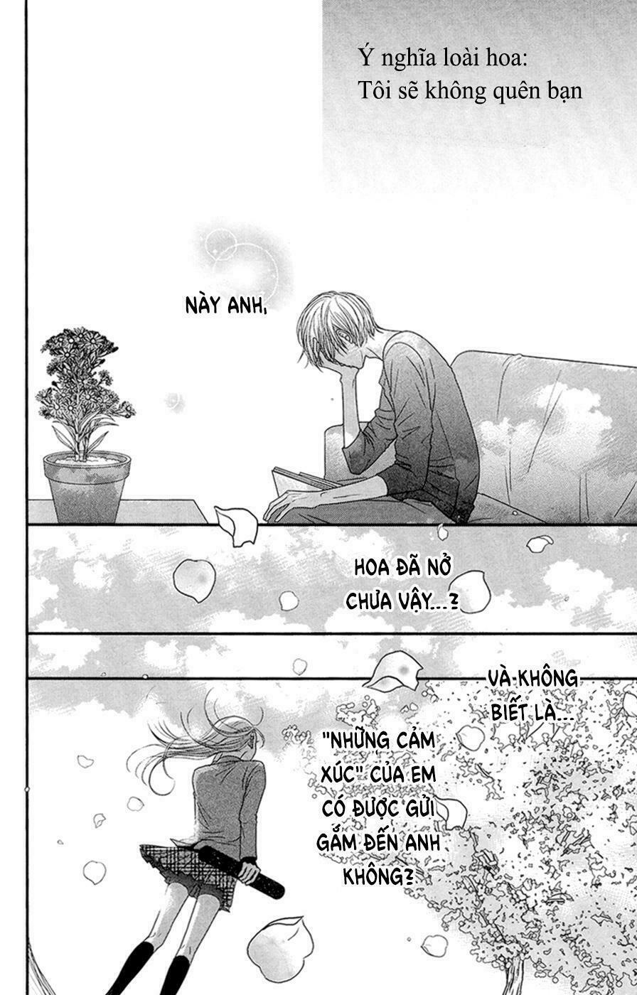 Đóa Hoa Năm Ấy: Chapter 4: (END)