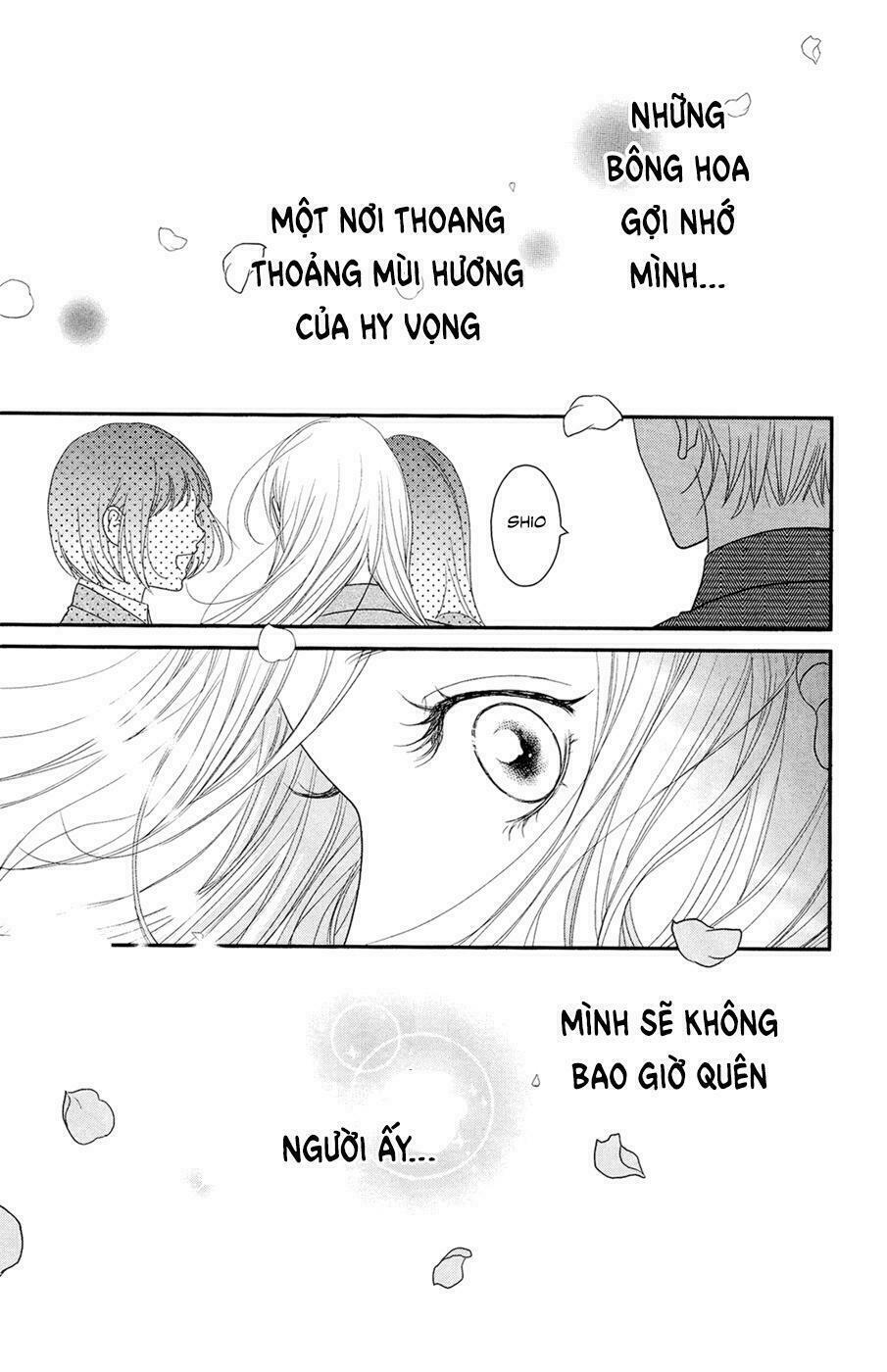 Đóa Hoa Năm Ấy: Chapter 4: (END)