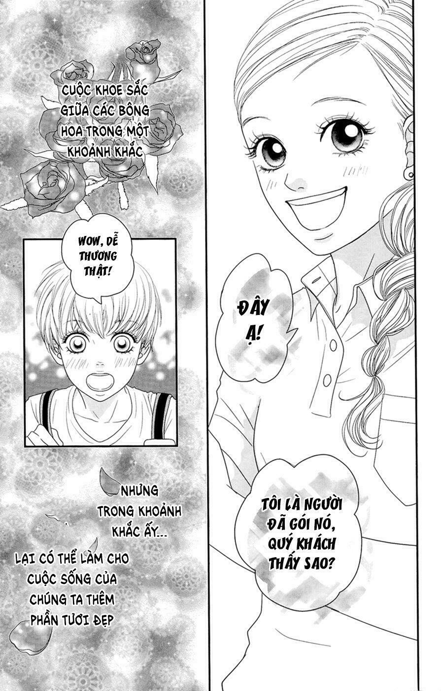 Đóa Hoa Năm Ấy: Chapter 4: (END)