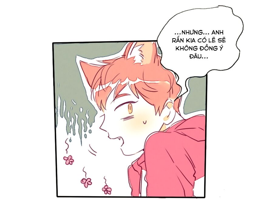Cưới, Tôi Ư?: Chapter 12