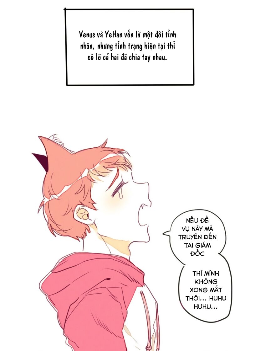 Cưới, Tôi Ư?: Chapter 14