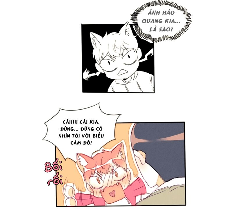 Cưới, Tôi Ư?: Chapter 15