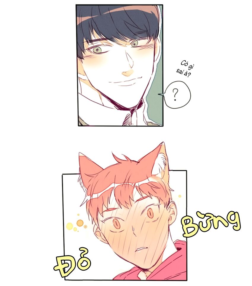 Cưới, Tôi Ư?: Chapter 15