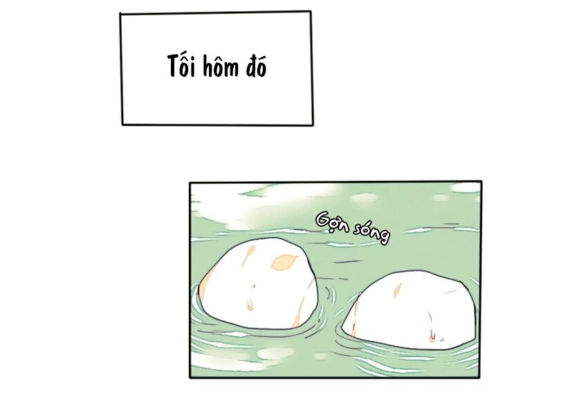 Cưới, Tôi Ư?: Chapter 15