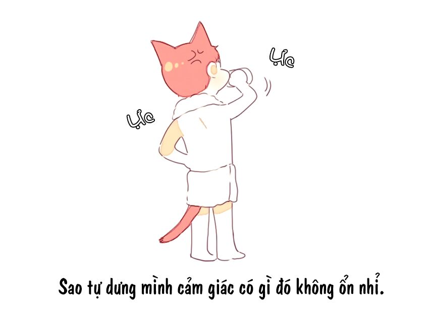 Cưới, Tôi Ư?: Chapter 15