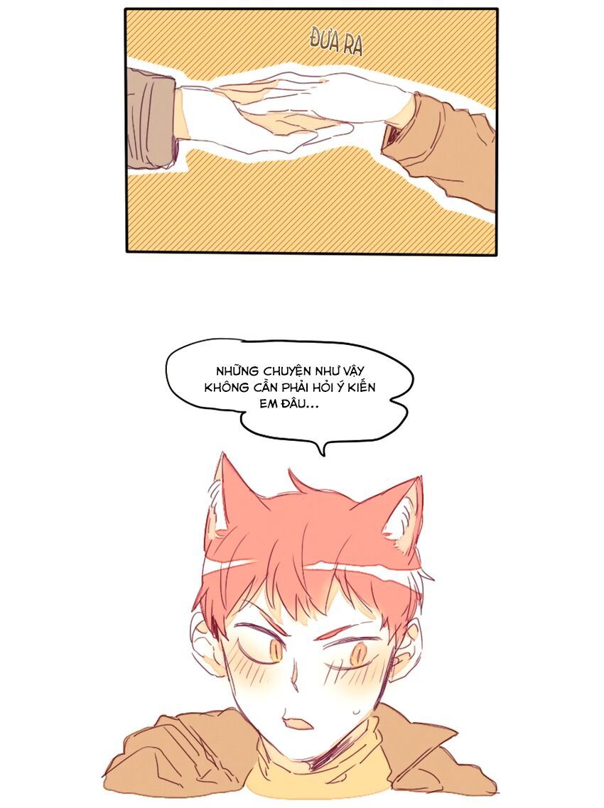 Cưới, Tôi Ư?: Chapter 17