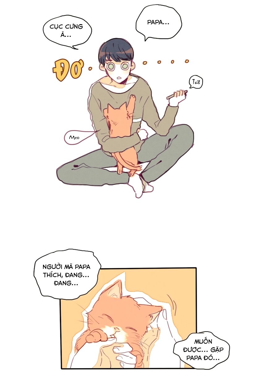 Cưới, Tôi Ư?: Chapter 17