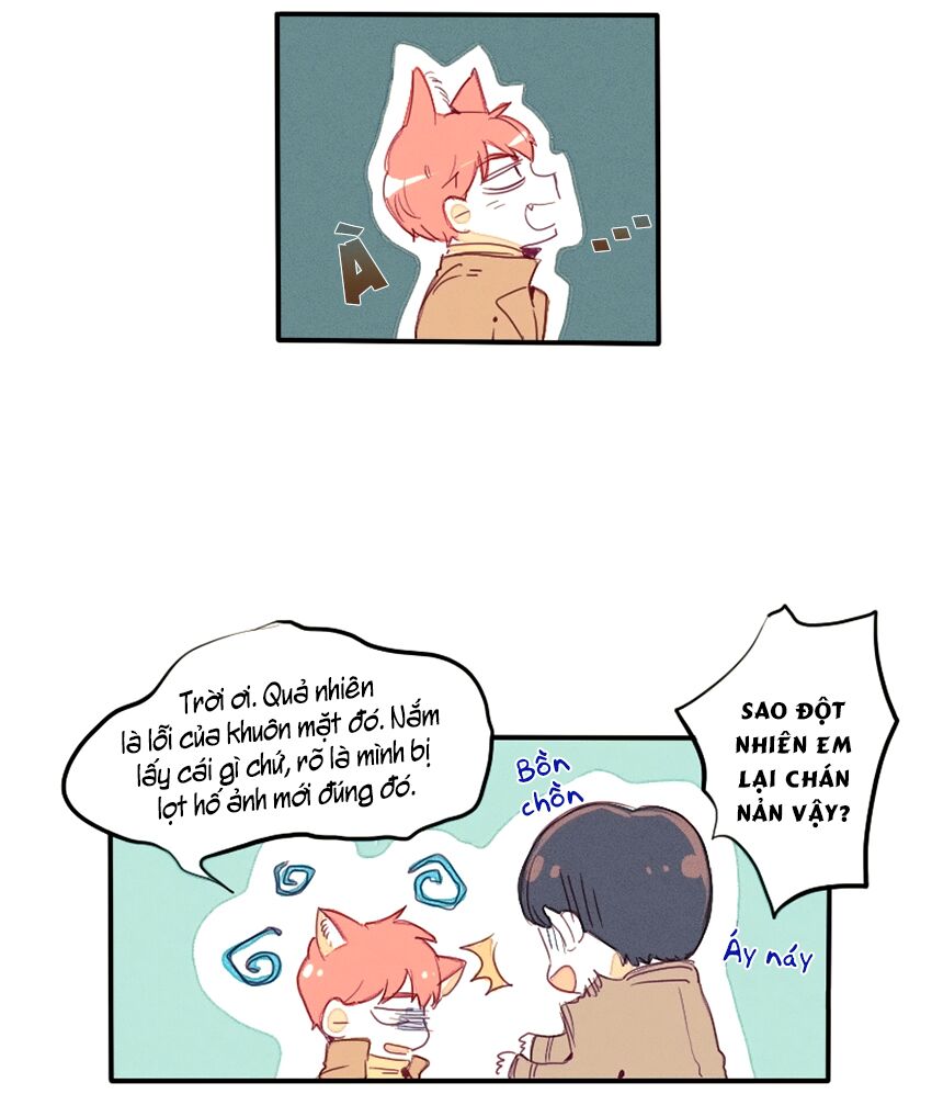 Cưới, Tôi Ư?: Chapter 19