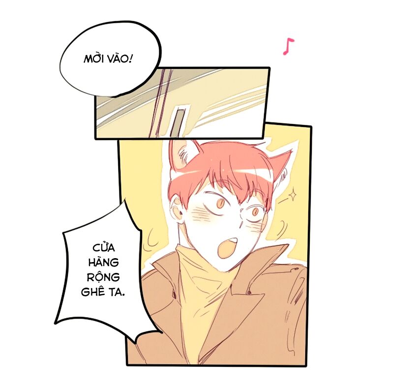 Cưới, Tôi Ư?: Chapter 19