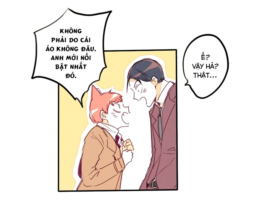 Cưới, Tôi Ư?: Chapter 19