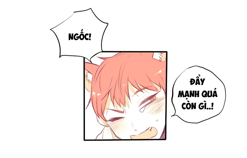 Cưới, Tôi Ư?: Chapter 23