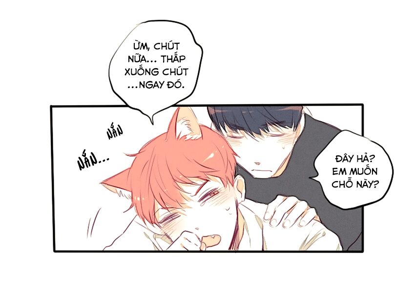 Cưới, Tôi Ư?: Chapter 23
