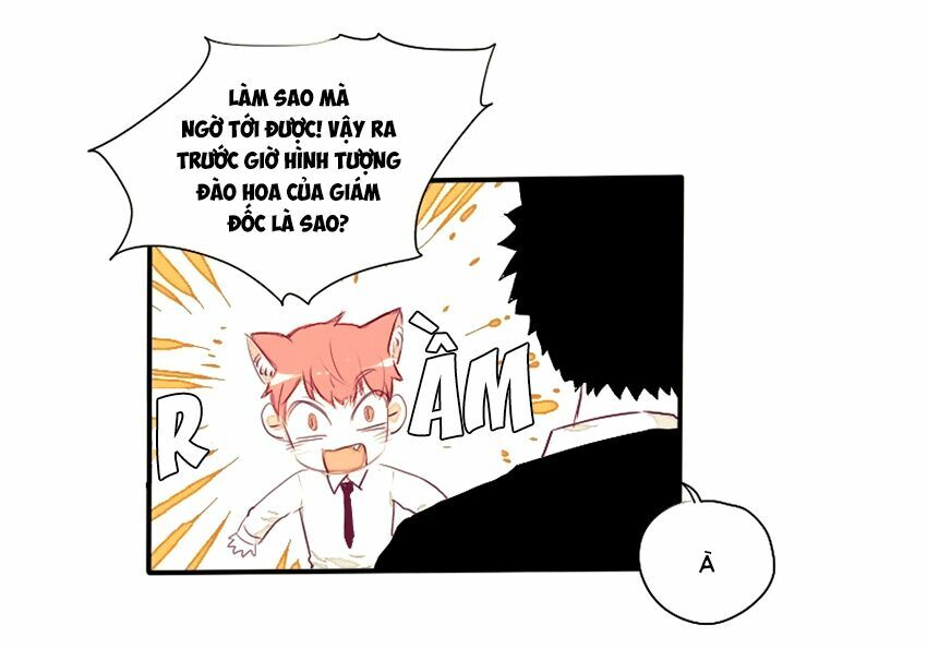 Cưới, Tôi Ư?: Chapter 24