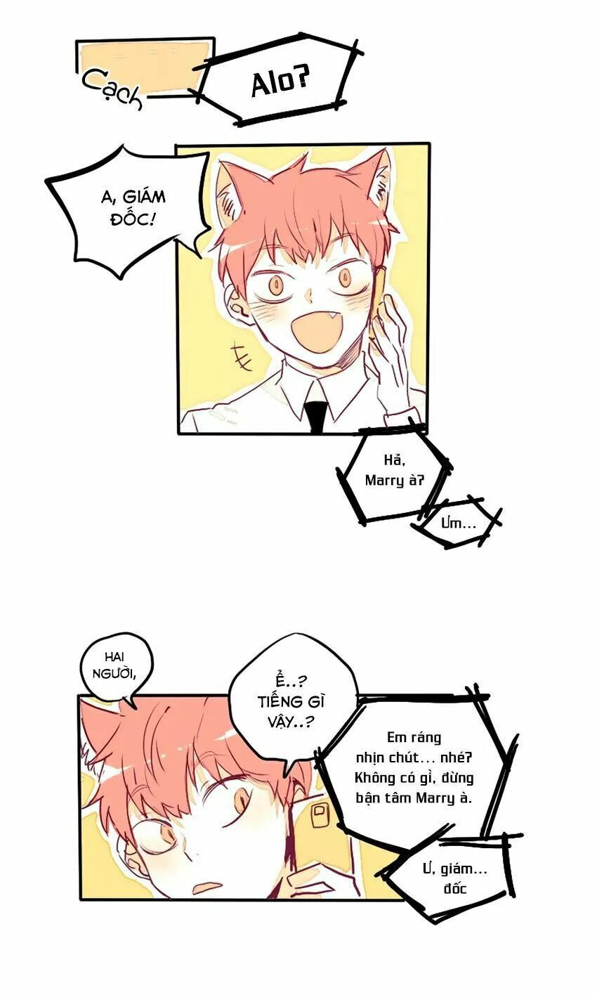Cưới, Tôi Ư?: Chapter 28