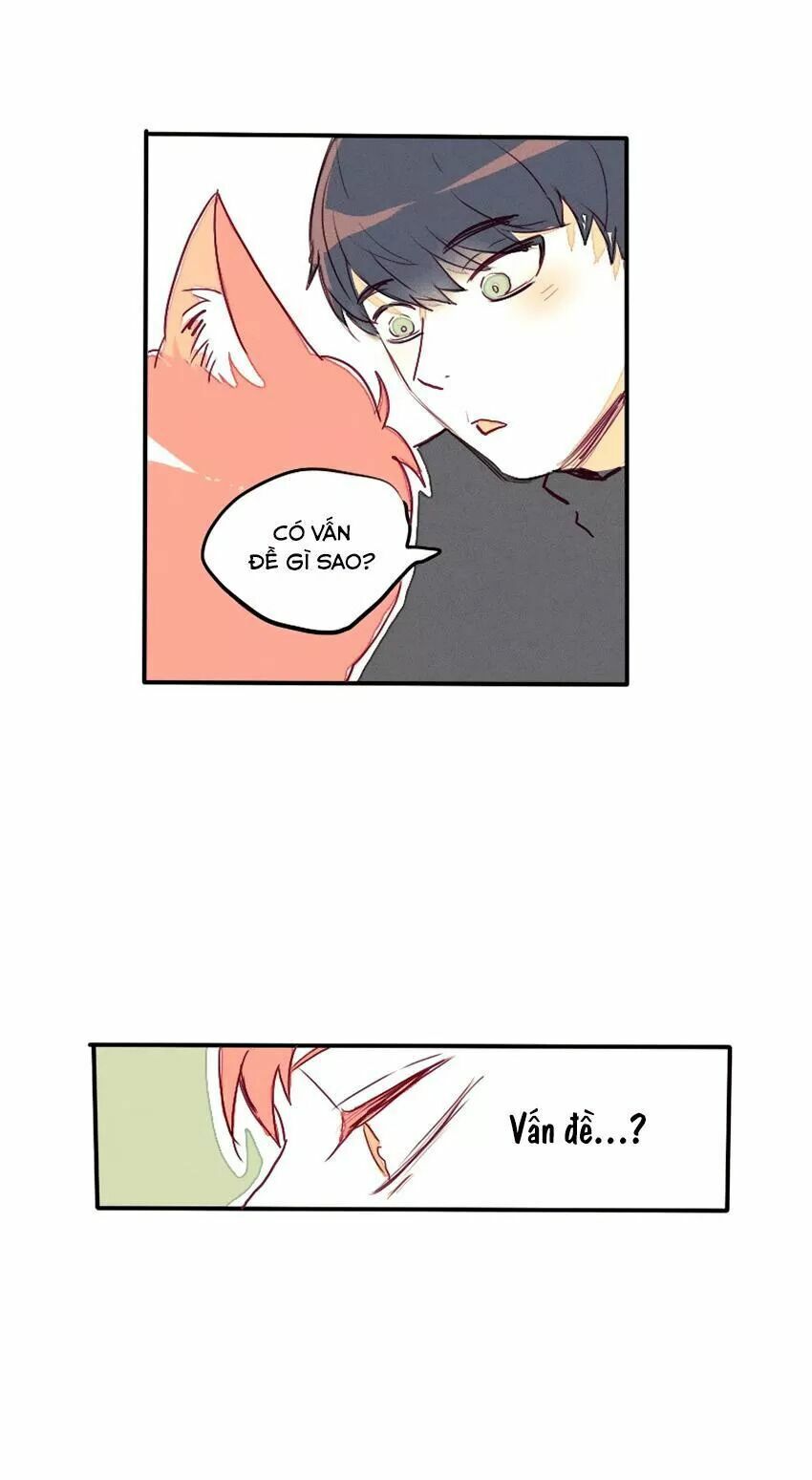 Cưới, Tôi Ư?: Chapter 28