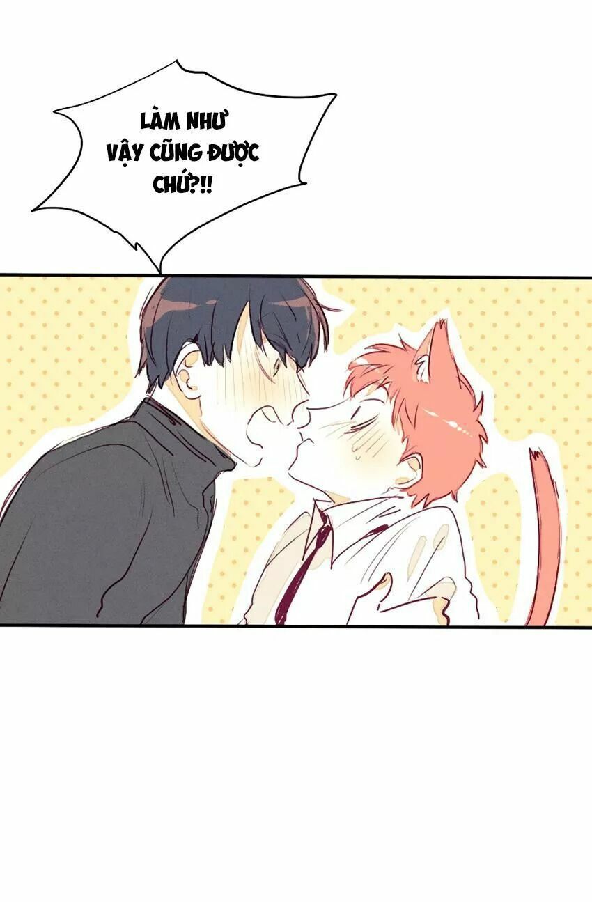 Cưới, Tôi Ư?: Chapter 28