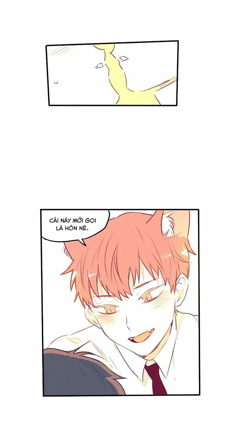 Cưới, Tôi Ư?: Chapter 29: +30 End