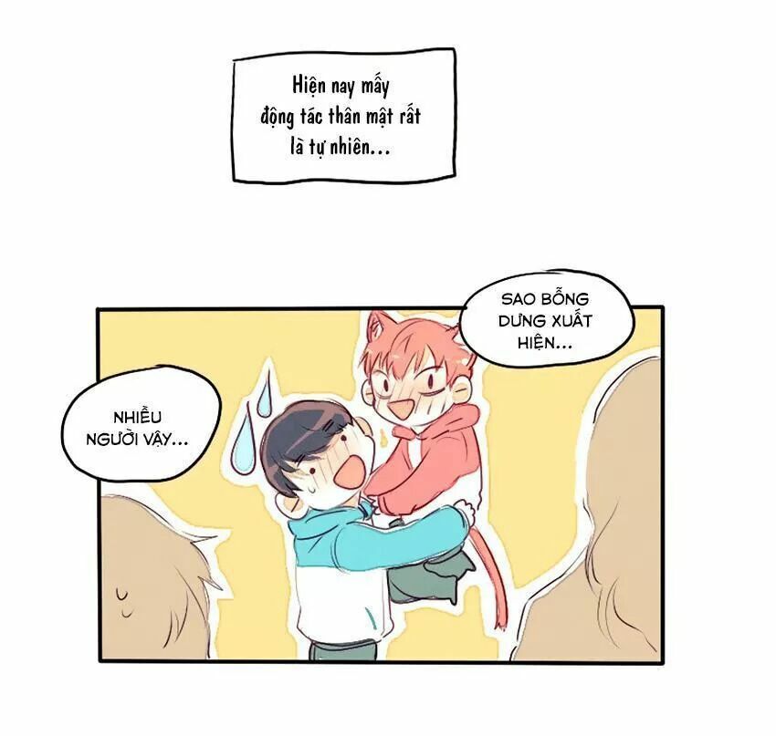 Cưới, Tôi Ư?: Chapter 29: +30 End