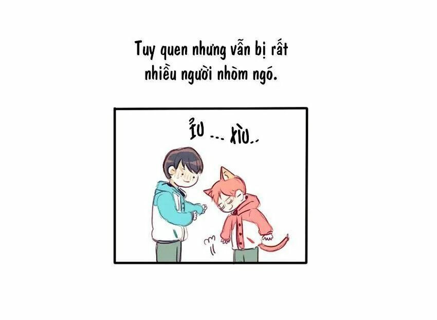 Cưới, Tôi Ư?: Chapter 29: +30 End