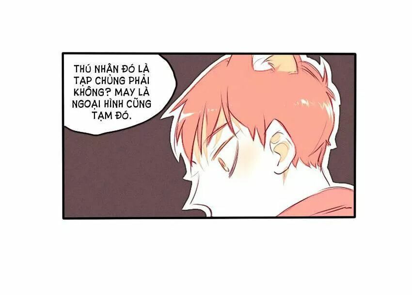 Cưới, Tôi Ư?: Chapter 29: +30 End