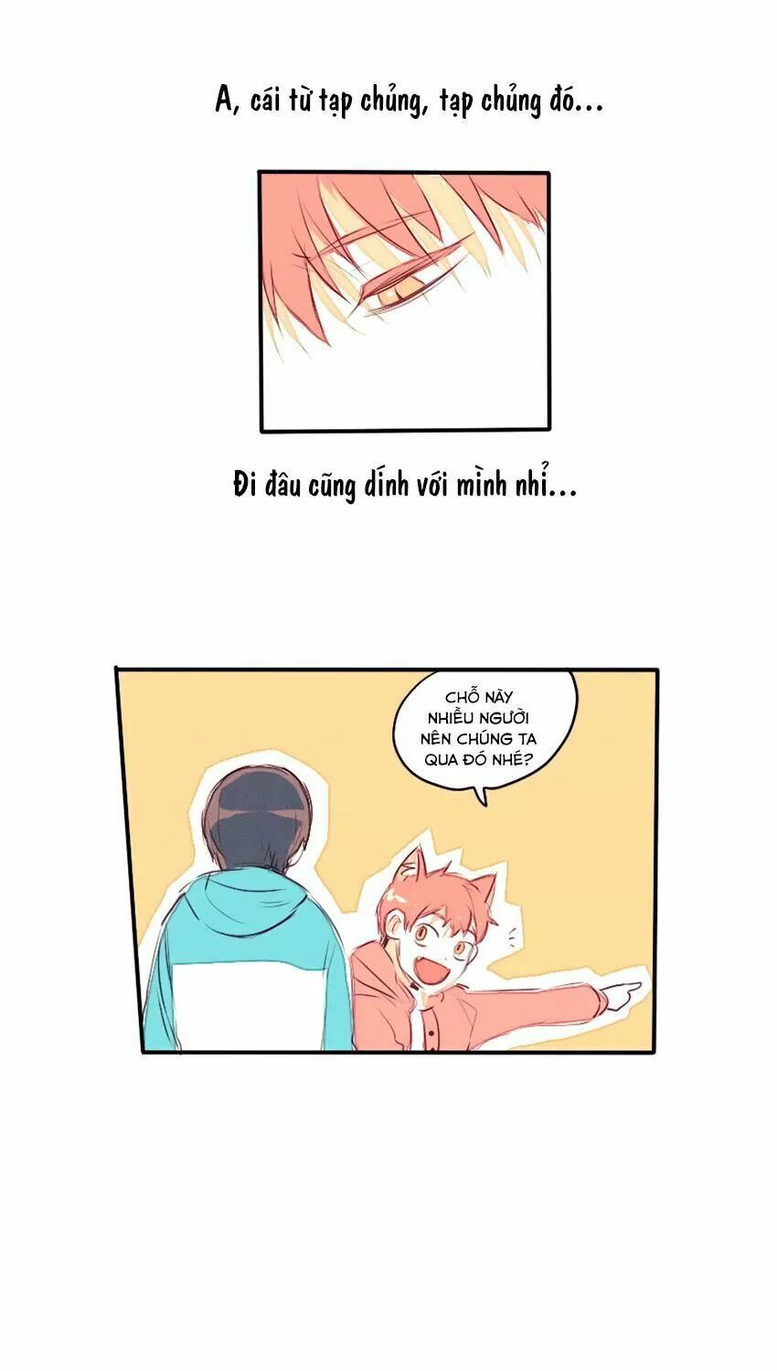 Cưới, Tôi Ư?: Chapter 29: +30 End