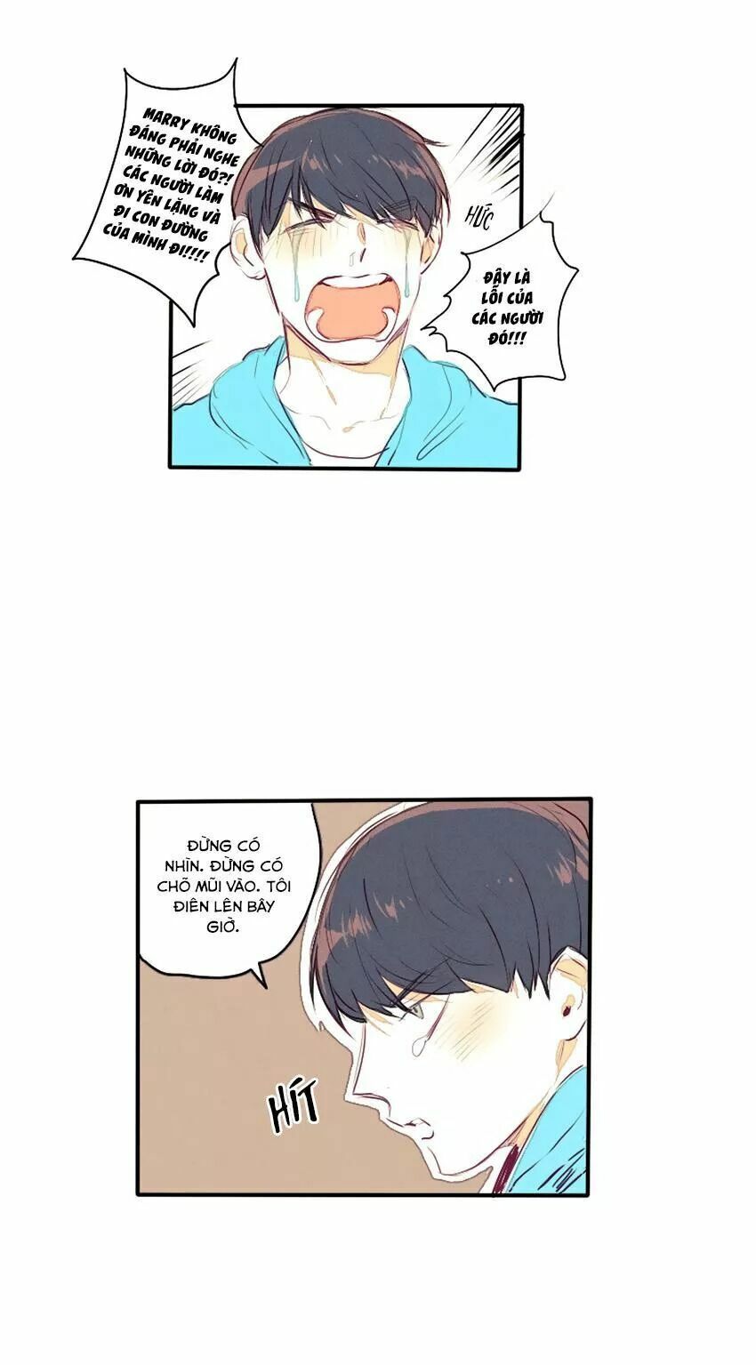 Cưới, Tôi Ư?: Chapter 29: +30 End