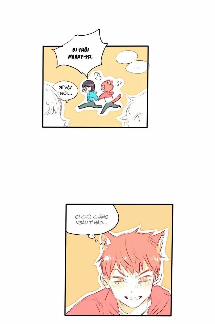 Cưới, Tôi Ư?: Chapter 29: +30 End