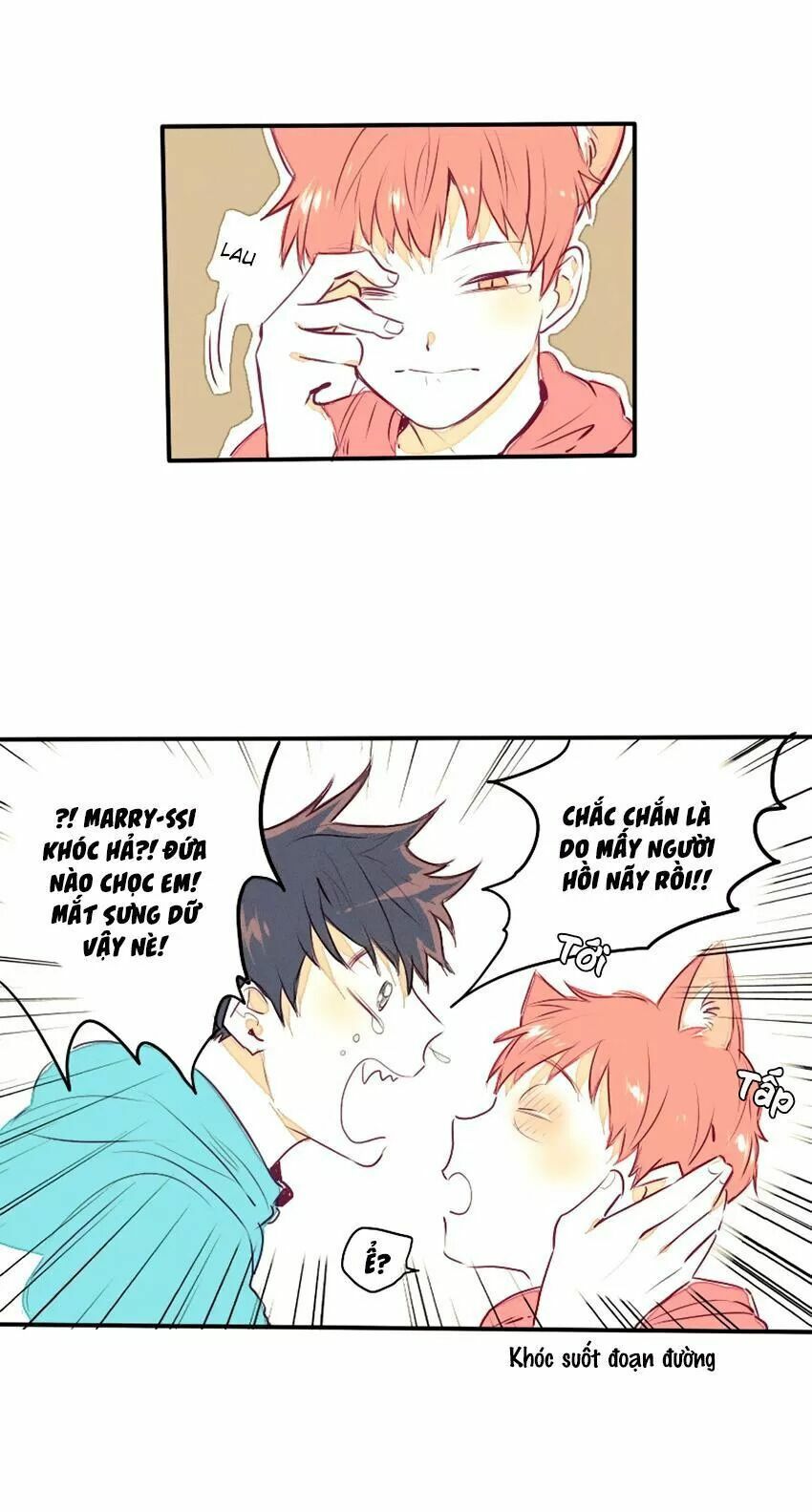 Cưới, Tôi Ư?: Chapter 29: +30 End
