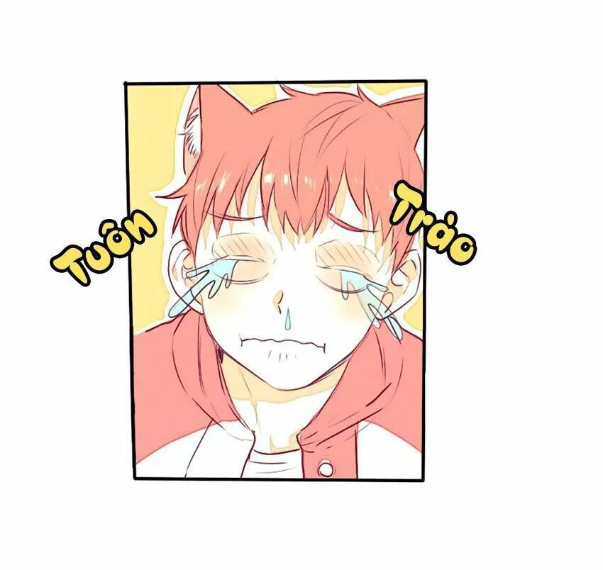 Cưới, Tôi Ư?: Chapter 29: +30 End