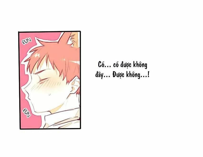 Cưới, Tôi Ư?: Chapter 29: +30 End