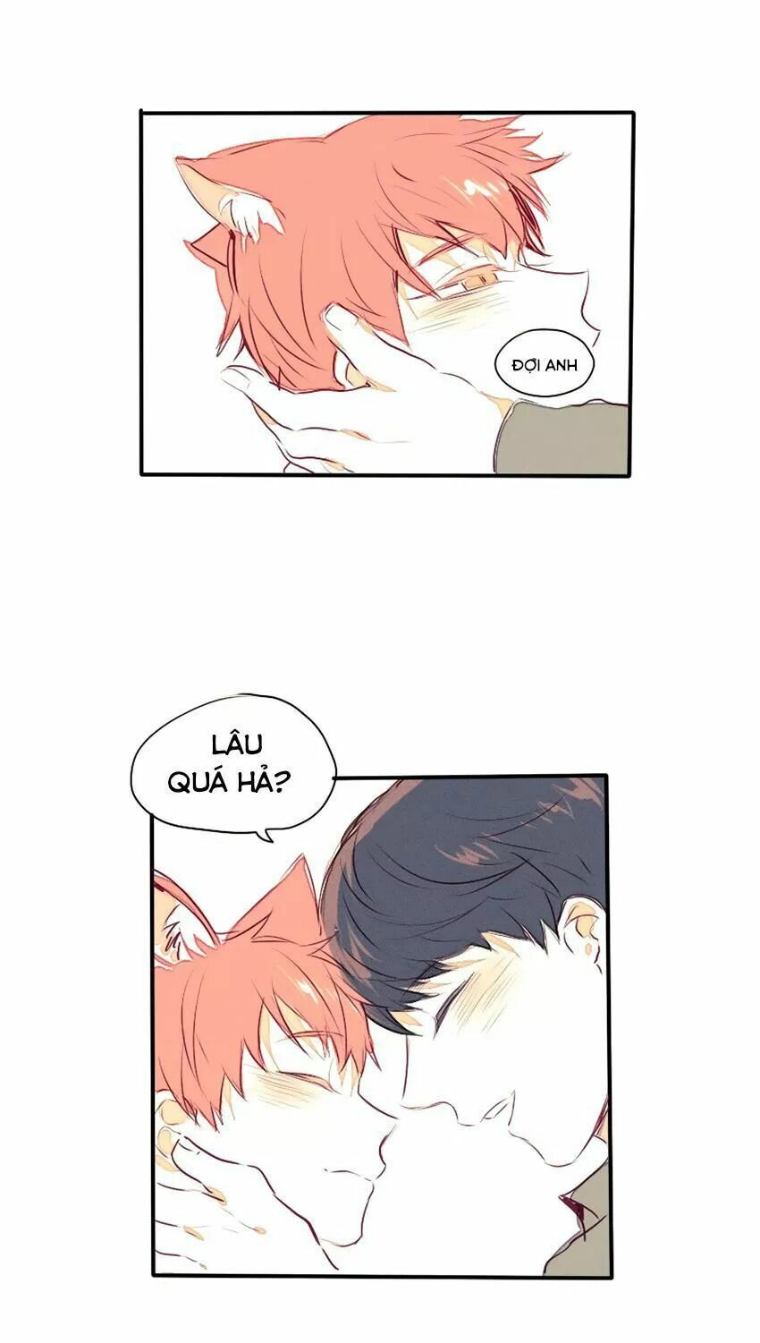 Cưới, Tôi Ư?: Chapter 29: +30 End