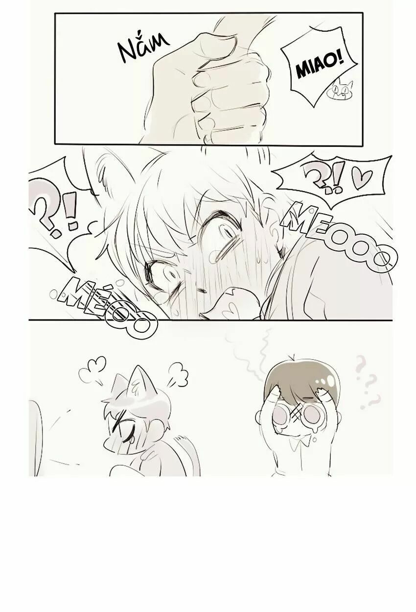 Cưới, Tôi Ư?: Chapter 29: +30 End