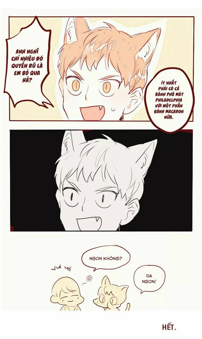 Cưới, Tôi Ư?: Chapter 29: +30 End