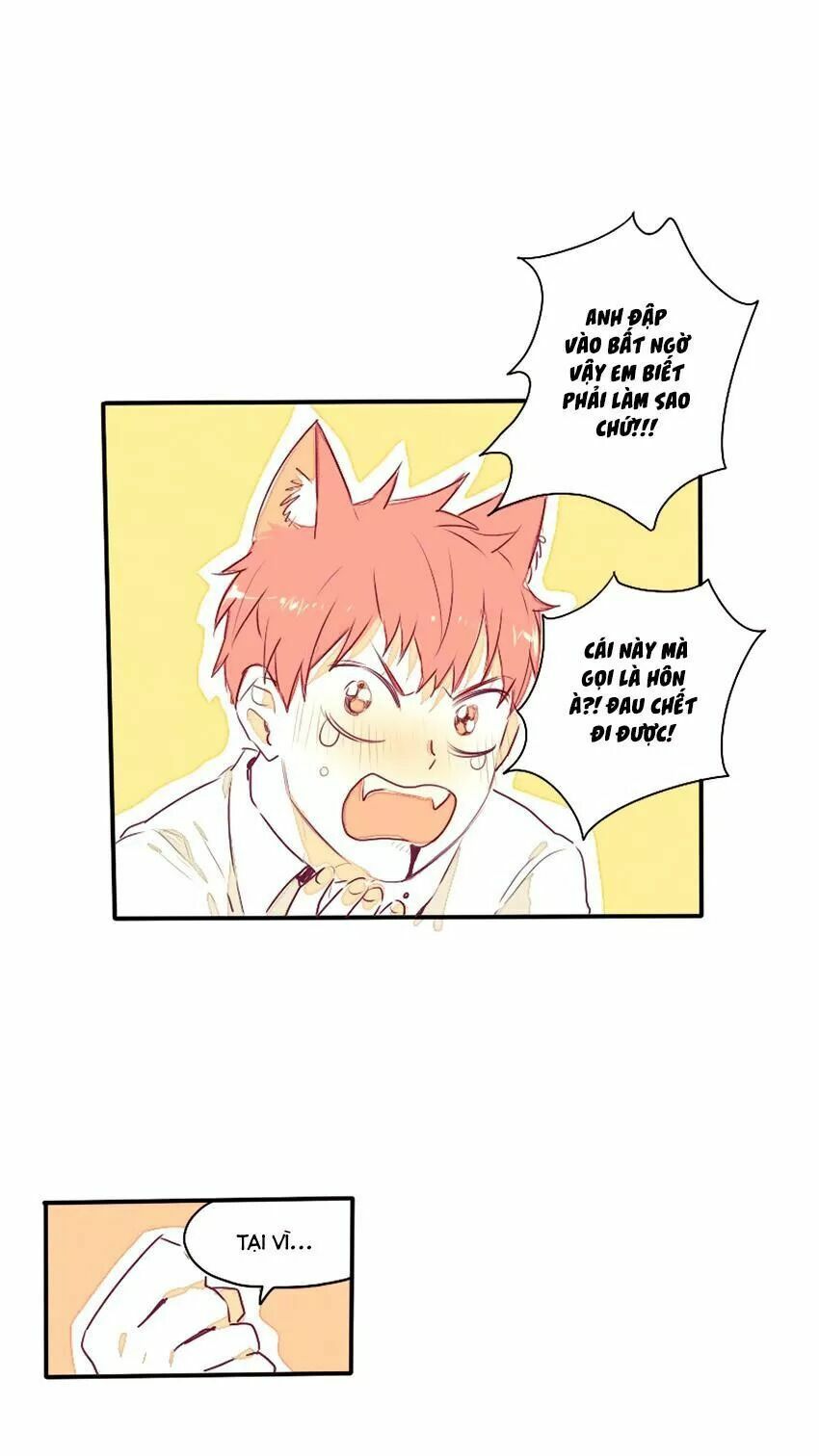 Cưới, Tôi Ư?: Chapter 29: +30 End