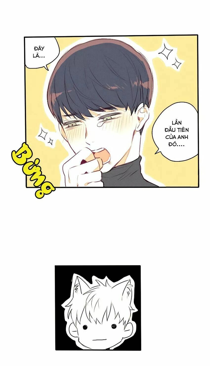 Cưới, Tôi Ư?: Chapter 29: +30 End