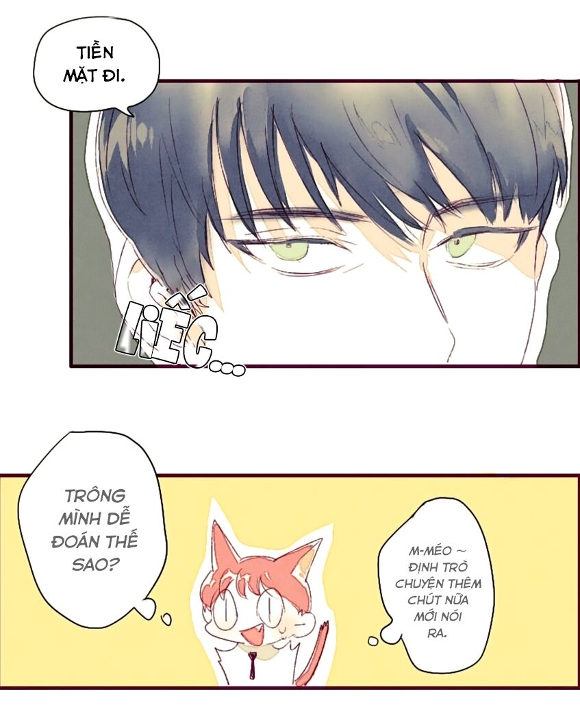 Cưới, Tôi Ư?: Chapter 3